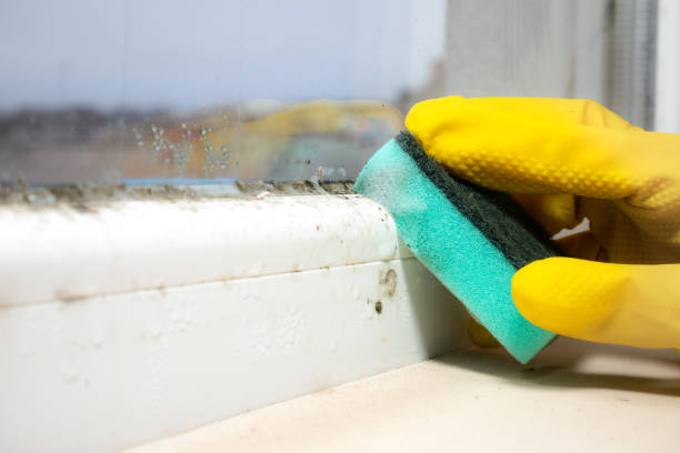 Best Mold Testing  in Kearny, NJ
